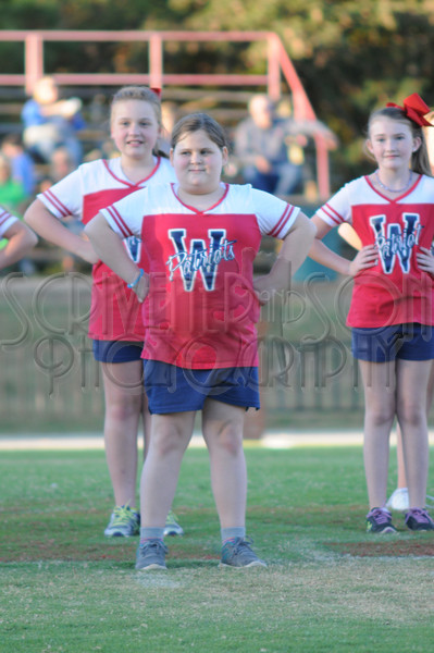 9-29 WA vs. HA PW 069.JPG - SCRIVENER D300